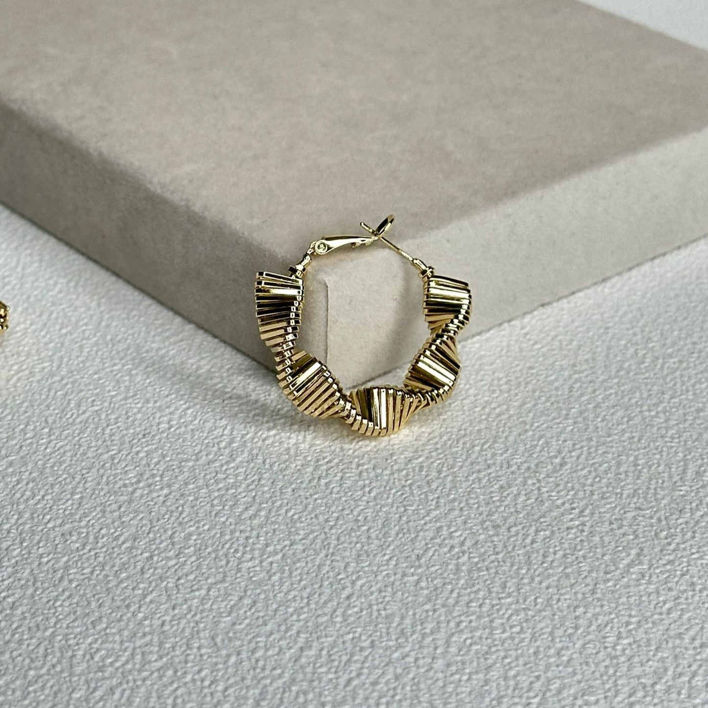Moverg Earring